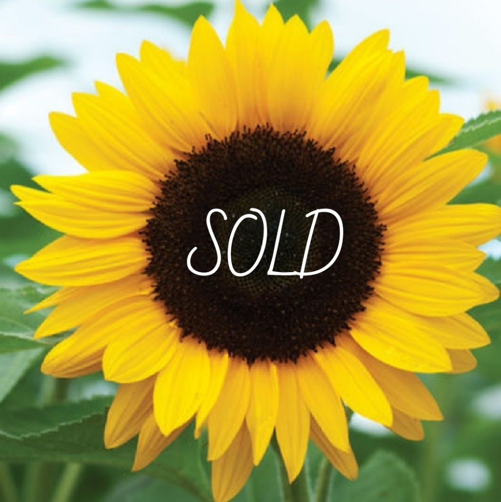 Sold
